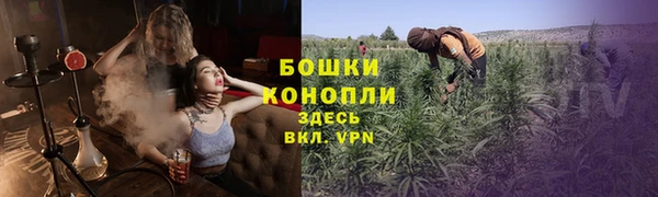 ECSTASY Медногорск