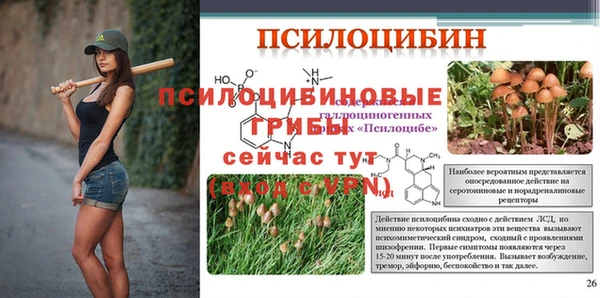 ECSTASY Медногорск