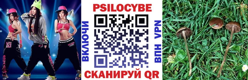 Псилоцибиновые грибы мухоморы  где можно купить наркотик  Белореченск 