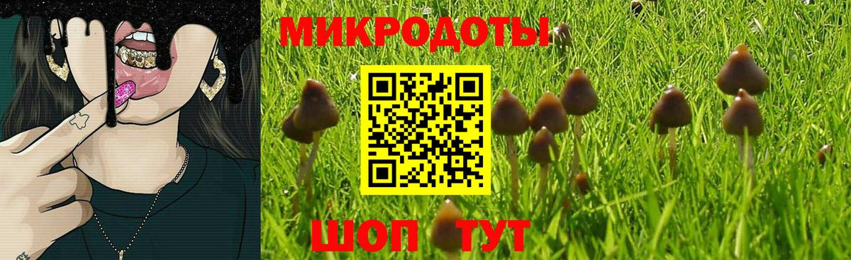 Псилоцибиновые грибы мицелий  Вход с VPN  Белореченск 